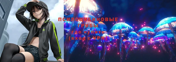 прущий лед Алексеевка