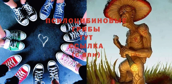 прущий лед Алексеевка