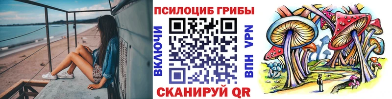 Псилоцибиновые грибы Psilocybe  как найти   Зверево 